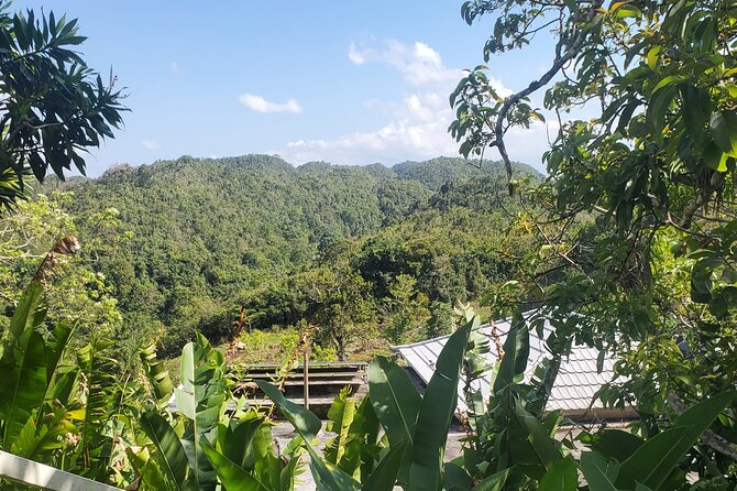 Bob Marley Nine Mile Home Private Tour from Montego Bay - Who will enjoy this tour most
