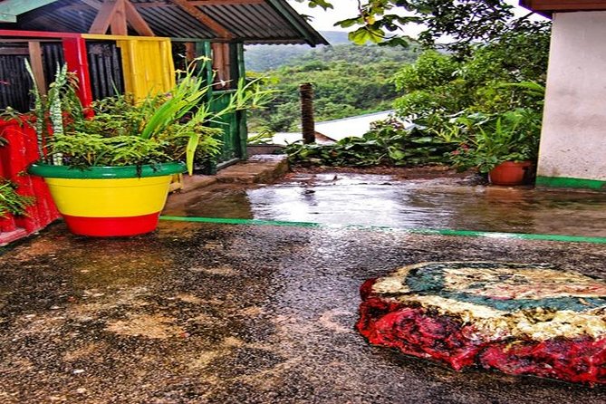 Bob Marley Nine Mile Tour - From Montego Bay - Practical Details Before You Book