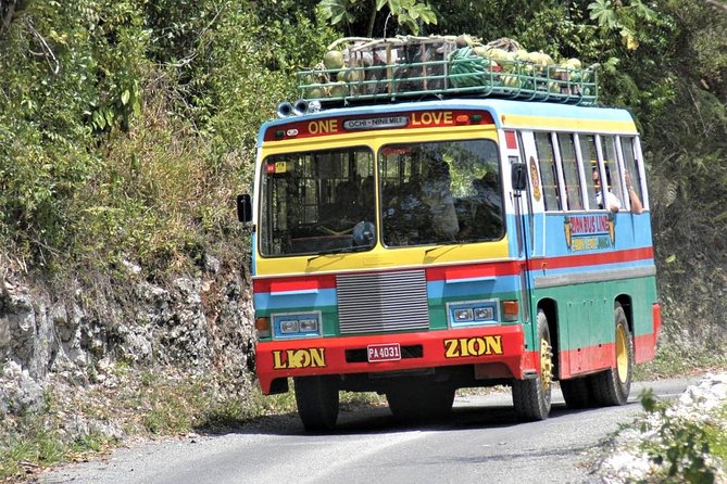 Bob Marley's Nine Mile Admission and Guided Tour from Montego Bay - Who should book this Nine Mile experience?