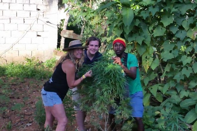 Bob Marley's Nine Mile & Dunns River Falls Tour: Transportation & Ticket - Guides who shape the experience