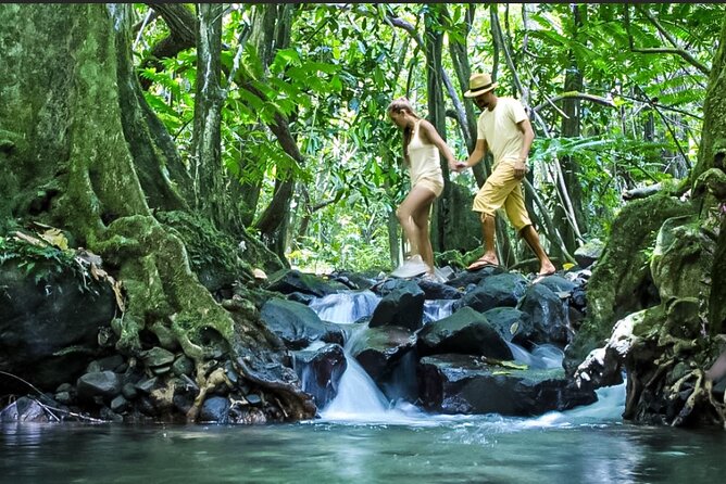 Bush Hiking to explore Wild Plants & Fresh Fruits,Montego Bay - Reaching the natural spring waterfall