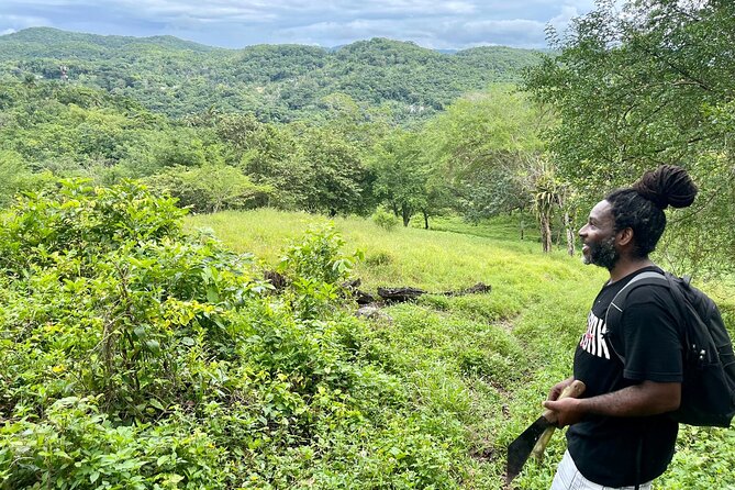Bush Hiking to explore Wild Plants & Fresh Fruits,Montego Bay - What the $160 price really includes