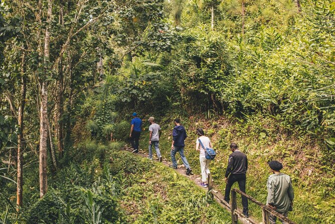 Bush Hiking to explore Wild Plants & Fresh Fruits,Montego Bay - Meeting the local guide near the bamboo rafts