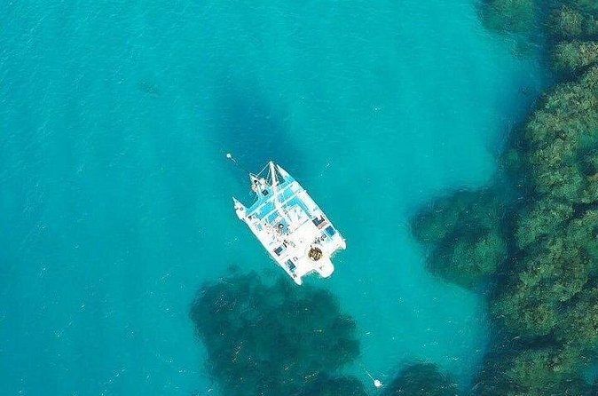 Catamaran, snorkeling & Dunn's River Falls - Weather, timing, and cancellation details
