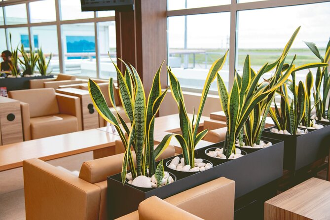 Club Mobay Sangster Airport VIP Lounge with Priority Entry - Food, drinks, and the question of a hot meal