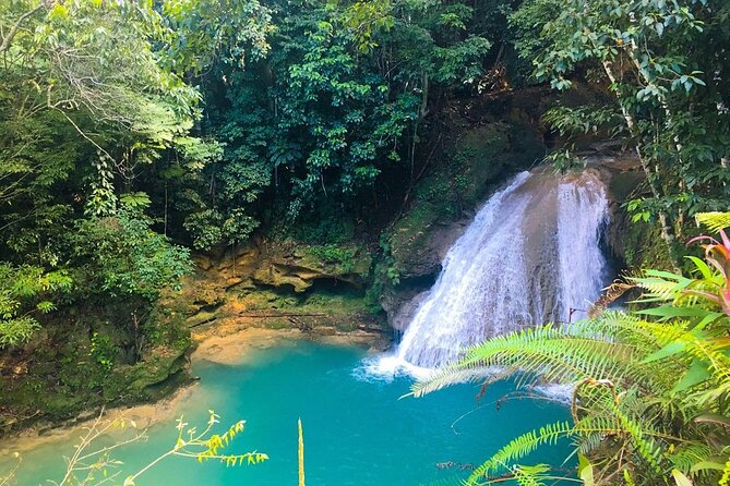 Combo Tour Dunn's River Falls and BlueTour from falmouth - Jerk food and Ocho Rios shopping