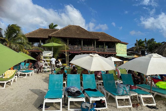 Day Tour Negril Beach & Ricks Cafe - Who will enjoy this Negril day trip?