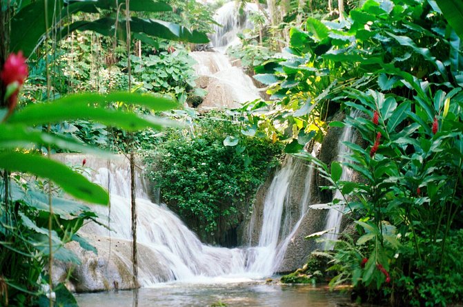 Day Trip to Bob Marley's Nine Mile and Dunn's River Falls from Falmouth - Who should book this Jamaican excursion