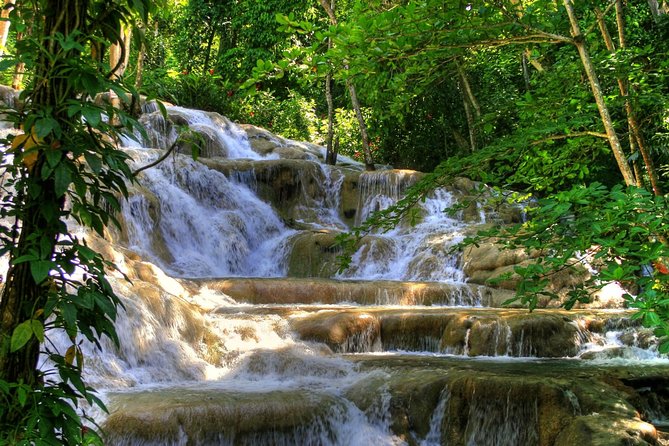 Day Trip to Dunn's River Falls from Montego Bay - Key points to know before you go