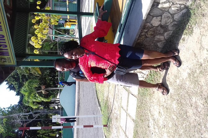 Day Trip to Dunn's River Falls from Montego Bay - Climbing Dunn’s River Falls from Montego Bay