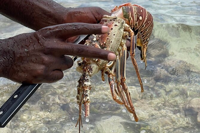 Day Trip to Negril from Montego Bay/Boat Ride to Booby Cay Island/Lobster Lunch - Two hours along Seven Mile Beach