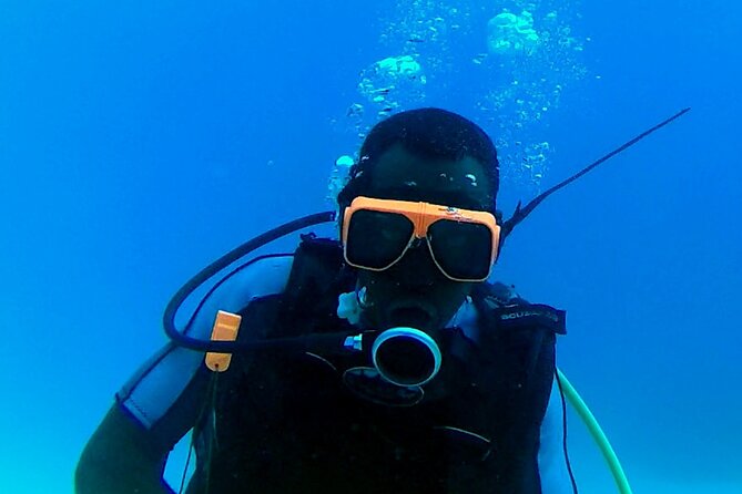 Discover Scuba Diving in Montego Bay-ONE Tank (First time Diving) - What You See on the Guided Ocean Trip