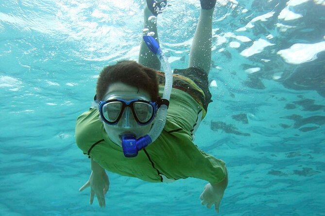 Discover Scuba Diving in Montego Bay-ONE Tank (First time Diving) - Why the Small Group Promise Matters