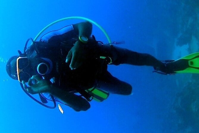 Discover Scuba Diving in Montego Bay-ONE Tank (First time Diving) - The $169.99 Price: What You Are Paying For