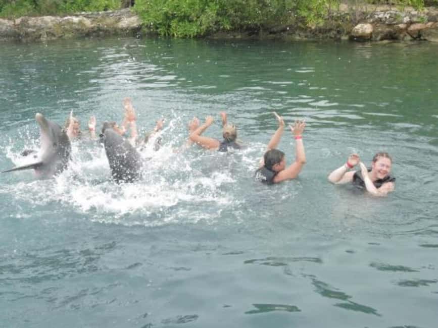 Dolphin Swim Adventure - Meeting the dolphins at Dolphin Cove Adventure