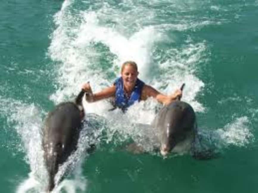 Dolphin Swim Adventure - Watching the trainers show what dolphins can do