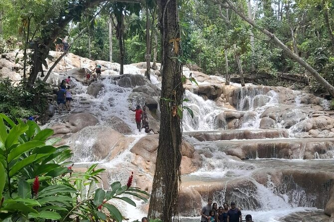 Dunn River Falls and Bamboo River Rafting in Ocho Rios Jamaica. - Practical details that make the day easier