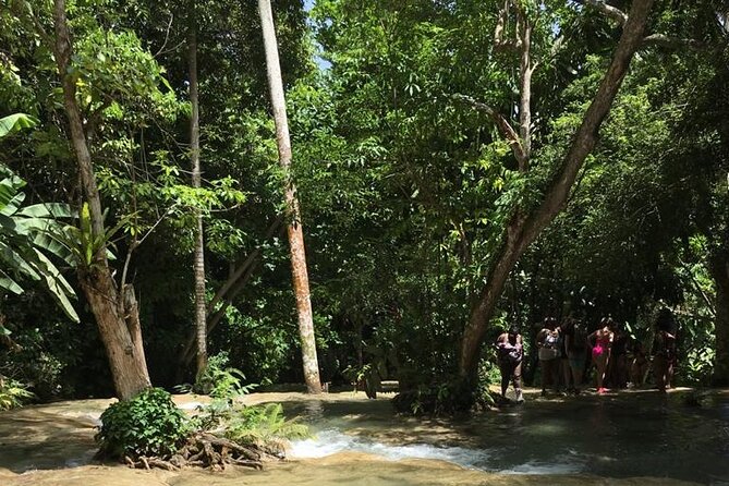 Dunn's River and Blue Hole Tour from Ocho Rios - What the guide adds to the experience