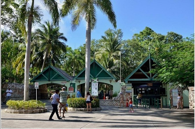 Dunn's River Fall's - Who will enjoy this private outing