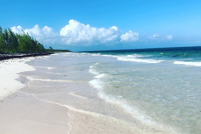 Dunn's River Falls and Beach From Ocho Rios Jamaica - Key points to know before booking