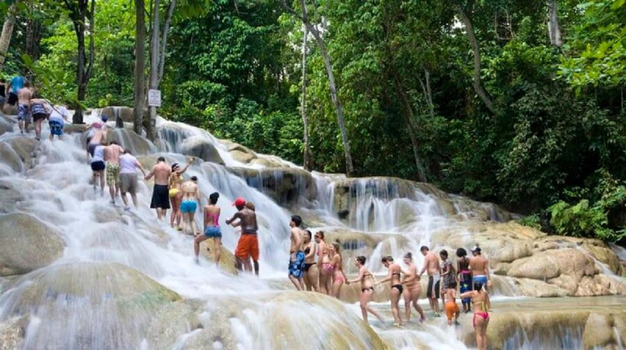 Dunn's River Falls and Bob Marley Mausoleum Tour - Key points to know before booking