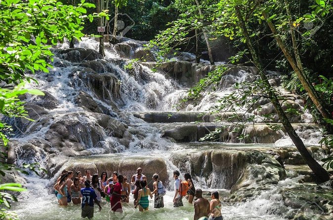 Dunn's River Falls and Horse Back Riding Excursion - Timing, groups, and the shared-tour tradeoff
