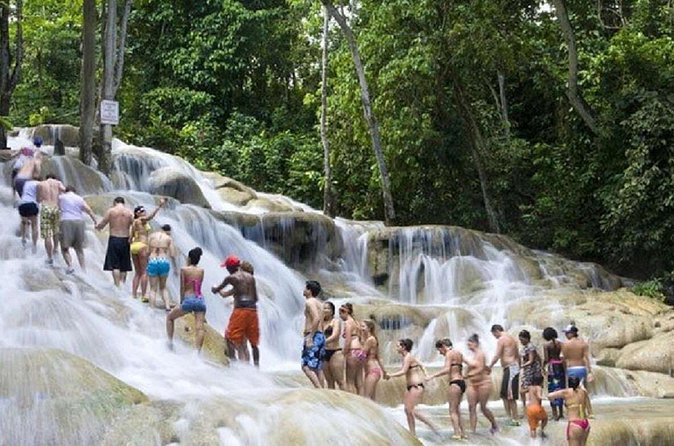 Dunn's River Falls and Horse Back Riding Excursion - Physical demands and family considerations