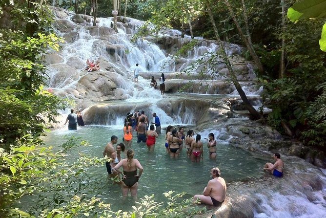 Dunn's River Falls and Jamaica Sightseeing Private Tour - From Montego Bay to Jamaica’s North Coast