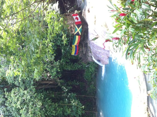 Dunn's River Falls and Jamaica Sightseeing Private Tour - Columbus Park Adds a Second Layer