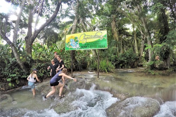 Dunn's River Falls and Ocho Rios Shopping Tour from Montego Bay Hotels - The Long Ride East From Montego Bay