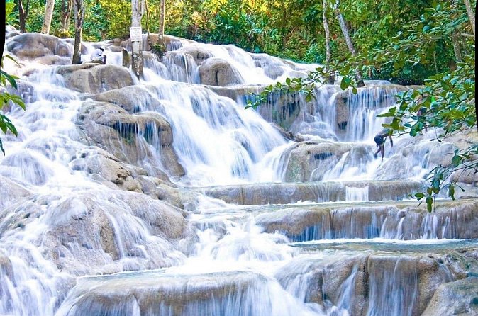 Dunn's River Falls and Park Tour with Zip Line from Montego Bay - What the park adds after the climb