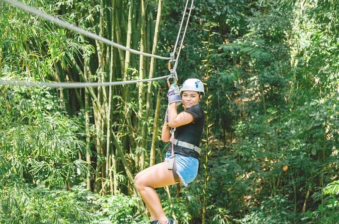Dunn's River Falls and Park Tour with Zip Line from Montego Bay - Is $199 a fair price?