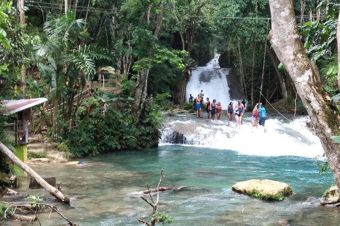 Dunn's River Falls & Blue Hole from Montego Bay or Falmouth - A good match for active families and private groups