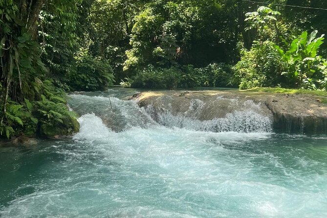 Dunn's River Falls & Blue Hole Tour from Montego Bay - Montego Bay transport and the real time commitment