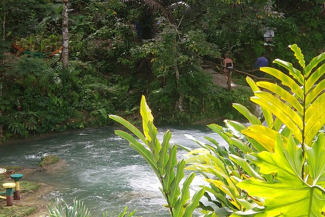 Dunn's River Falls & Blue Hole Tour from Montego Bay - Who will enjoy this day most