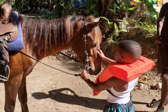 Dunn's River Falls Climb, Zipline and Horseback Riding Private Tour - Who will enjoy this tour most?