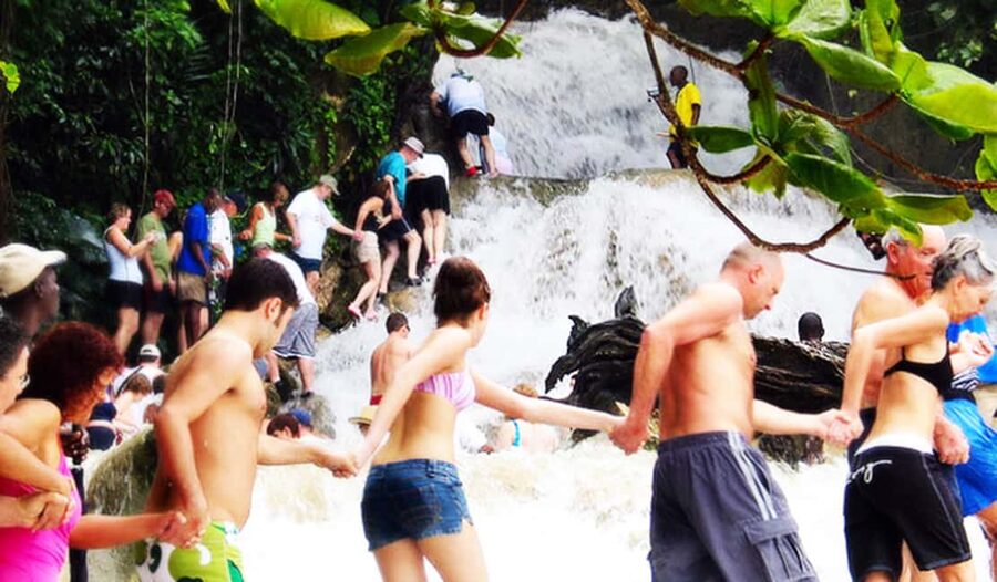 Dunn's River Falls Day Tour - Fern Gully and Jamaica’s useful plants