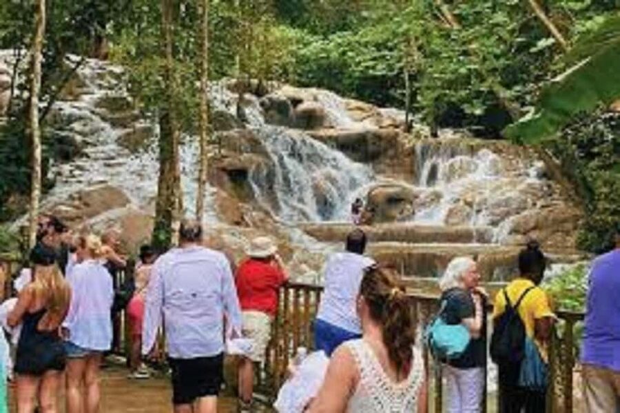 Dunn's River Falls Day Tour - What the $208 private price buys you