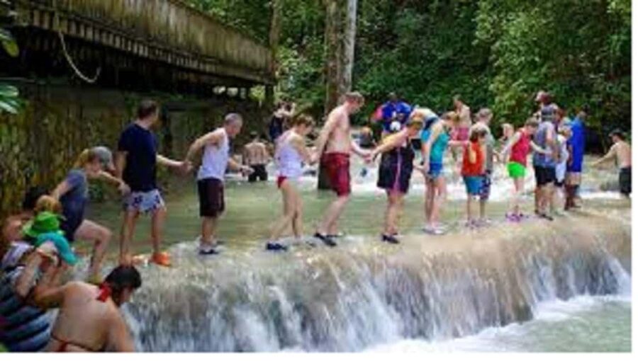 Dunn's River Falls Day Tour - Who will enjoy this tour most