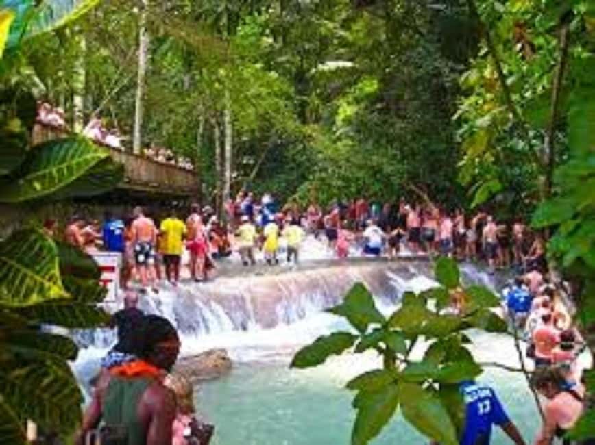 Dunn's River Falls Day Tour - Is Dunn’s River Falls Day Tour worth booking?