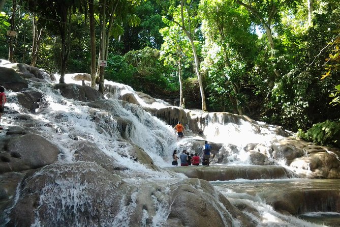 Dunn's River Falls excursion from Montego Bay - Key points to know before booking