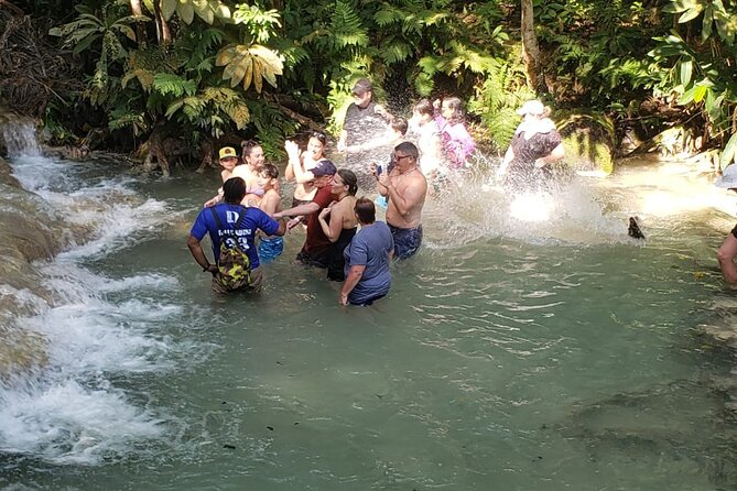 Dunn's River Falls Half Day Tour From Montego Bay - The value of a private driver and flexible stops