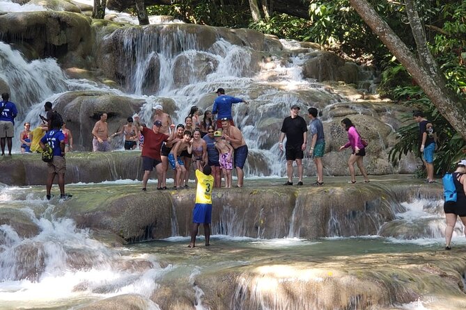 Dunn's River Falls Half Day Tour From Montego Bay - Who will enjoy this tour most
