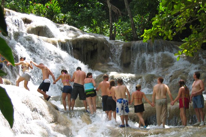 Dunn's River Falls & Luminous Lagoon Guided Tour from Montego Bay - Two Jamaican wonders in one long day
