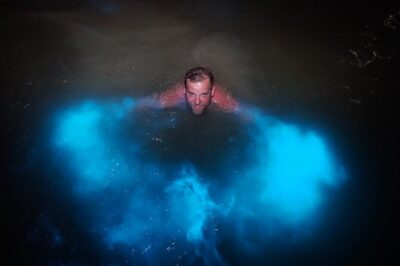 Dunn’s River Falls & Luminous Lagoon Guided Tour from Montego Bay