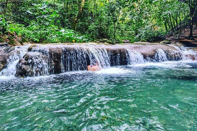 Dunn's River Falls & Luminous Lagoon Guided Tour from Montego Bay - Who should book this Jamaica day