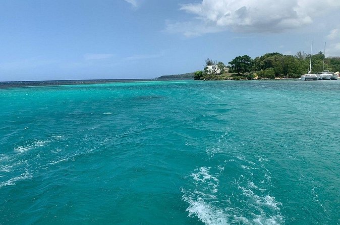 Dunn's River Falls Party Cruise, Blue Hole with Snorkeling, free beverages - Drivers can make or break the day