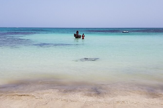 Dunn's River Falls, River Tubing, and Horseback Riding With Transportation - Who should book this outing?