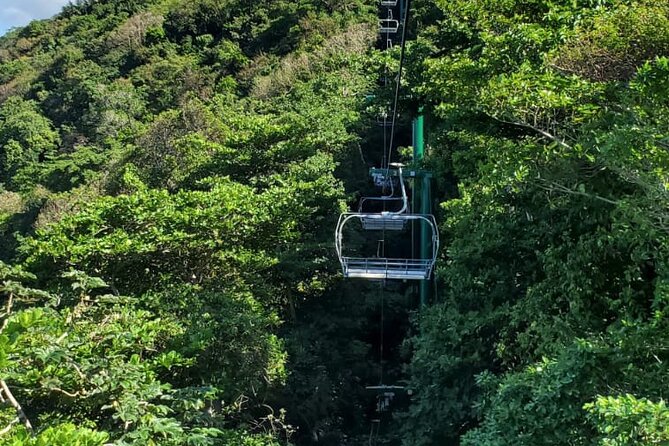 Dunn’s River Falls,Zip lining & horseback riding Combo tour from Montego Bay - What the $300 price really covers
