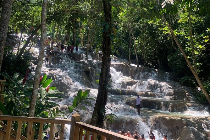 Dunn's River Falls, Zipline Adventure from Kingston - Who will enjoy this experience most?